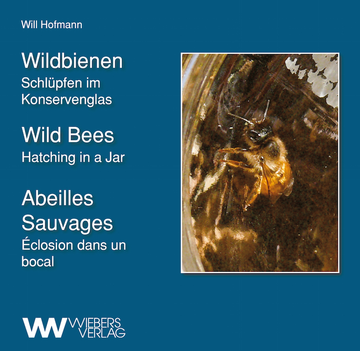 Wildbienen